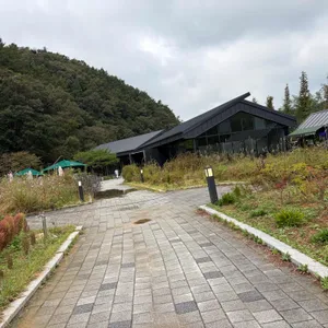 묵리459 리뷰 사진