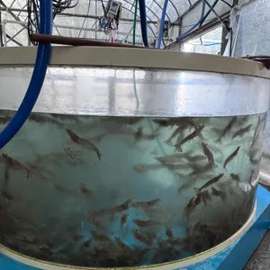 벌떡새우 리뷰 사진