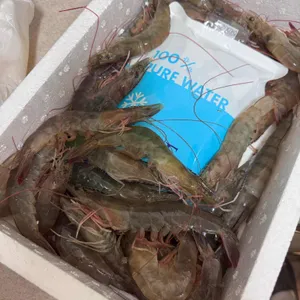 벌떡새우 리뷰 사진