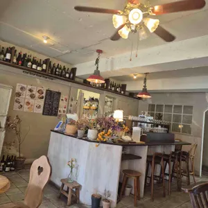 샐루아투스 리뷰 사진