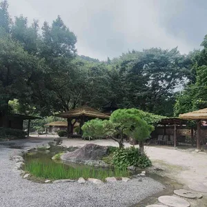 참나무쟁이 리뷰 사진