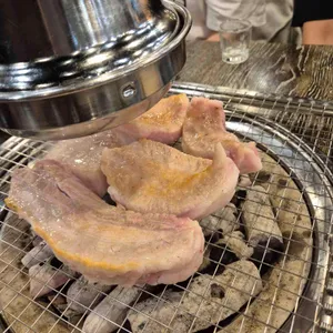 돈포레스트 사진