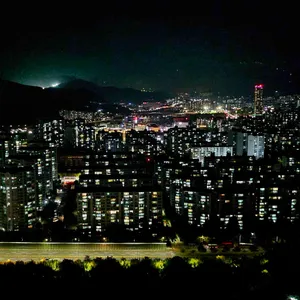 달빛 대표 사진