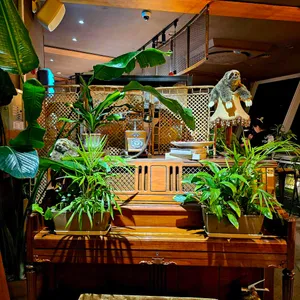 달빛 리뷰 사진