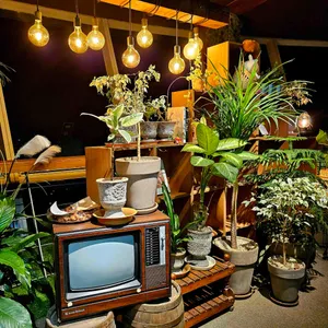 달빛 리뷰 사진