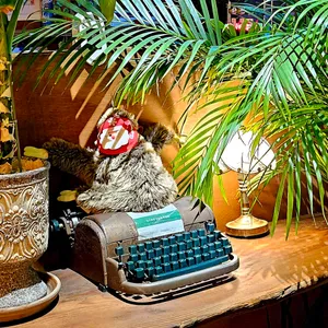 달빛 리뷰 사진