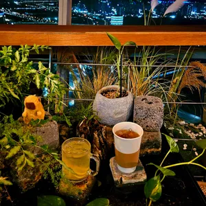 달빛 리뷰 사진