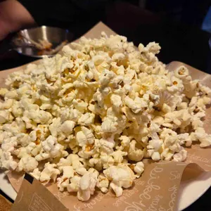 개집비어 대표 사진