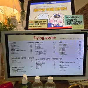 플라잉스콘 리뷰 사진