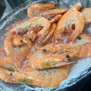 육해공 대표 사진