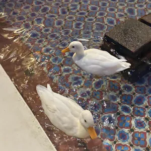 투하츠 베이커리 사진