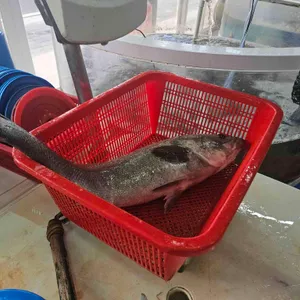 해뜨는집 리뷰 사진