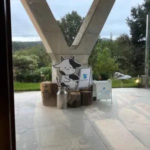 카페더엠 리뷰 사진