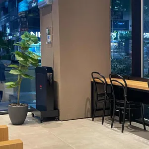 폴 바셋 리뷰 사진