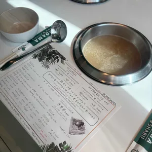 봄담아 리뷰 사진