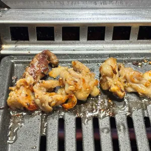 부일갈매기 사진