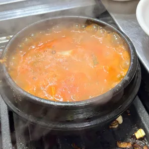 부일갈매기 사진