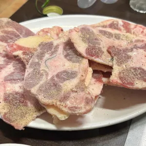 부일갈매기 사진