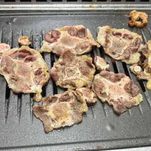 부일갈매기 사진