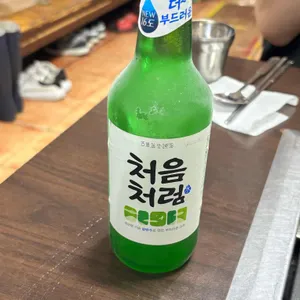 부일갈매기 사진