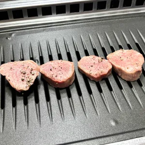 부일갈매기 사진