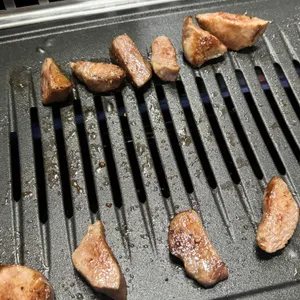 부일갈매기 사진