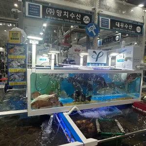 망치수산 리뷰 사진