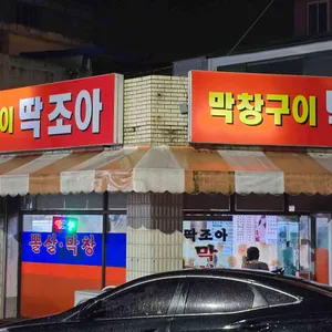 딱조아 리뷰 사진
