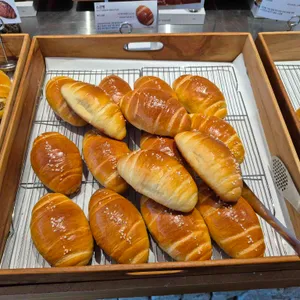 바토플루이르 송해 사진