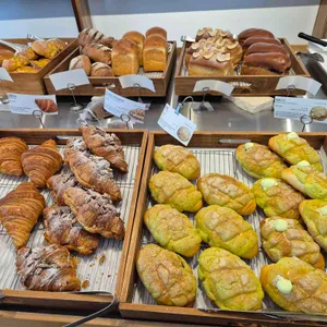 바토플루이르 송해 사진