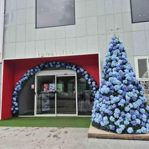 바토플루이르 송해 리뷰 사진