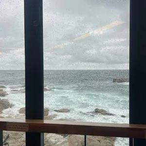 바다담다 리뷰 사진