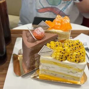 프레베리 케이크 대표 사진