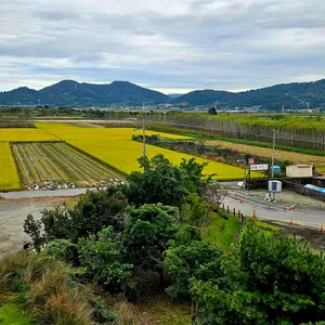 순천만487 리뷰 사진