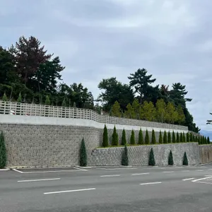 모이핀 리뷰 사진