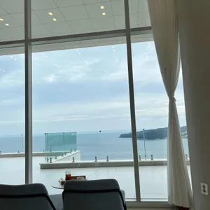 모이핀 리뷰 사진