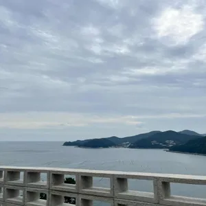 모이핀 리뷰 사진