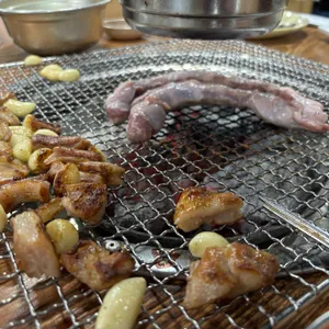 황소고집 사진