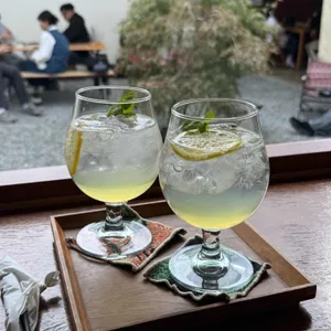 고냅브로시스 사진