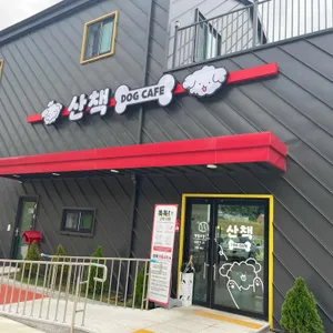 애견카페 산책 사진 1