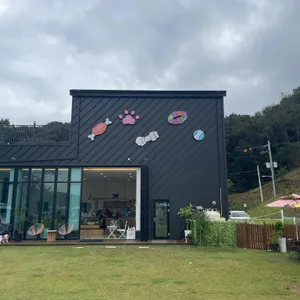 애견카페 산책 사진 2