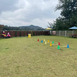 애견카페 산책 리뷰 사진