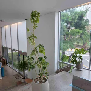 시오스 리뷰 사진