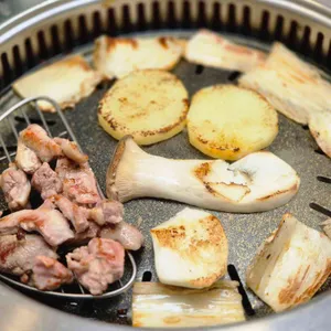 또오리 사진