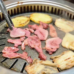 또오리 사진
