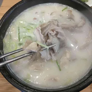돈수백 사진