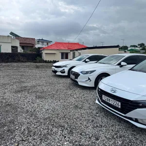 대문집 리뷰 사진