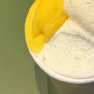 젤라떼리아도도 사진