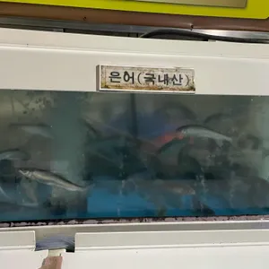 혜성식당 리뷰 사진