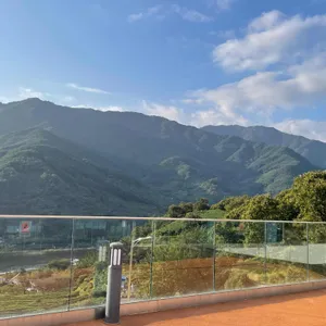 숲속 대표 사진